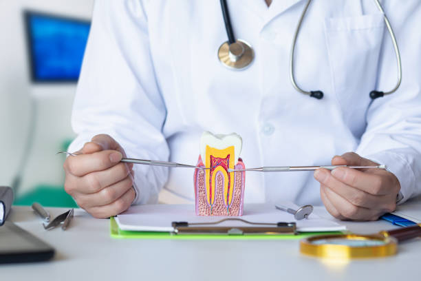 Best Emergency Dental Care for Abscessed Tooth in Riceville, TN